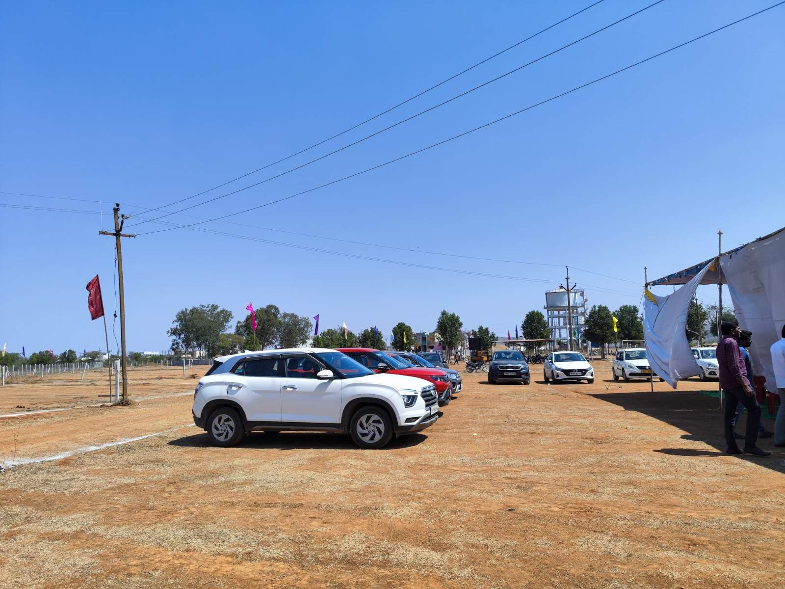 Oxy Flora managed farm lands