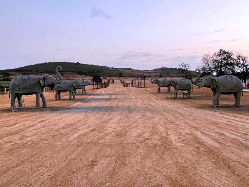 Magadha open plots road view